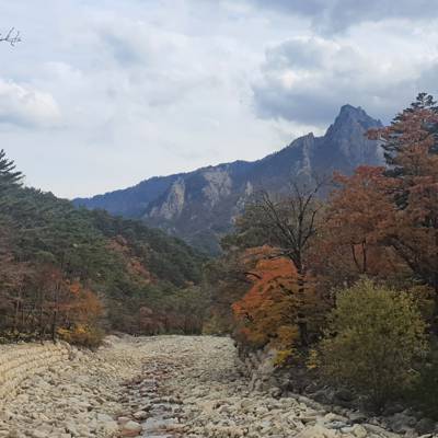 Photo review number 6684 from Luisa P