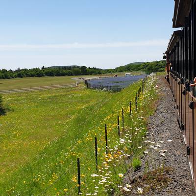Photo review number 7801 from A M