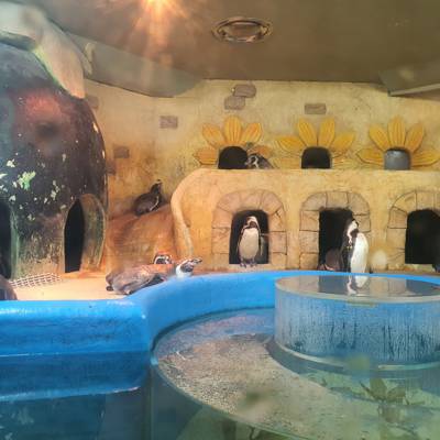 Photo review number 8252 from Abdul M