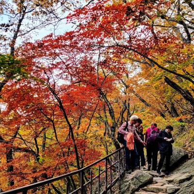 Photo review number 8980 from Shunyee W