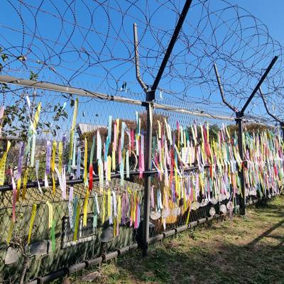 Photo review number 9234 from Jake P