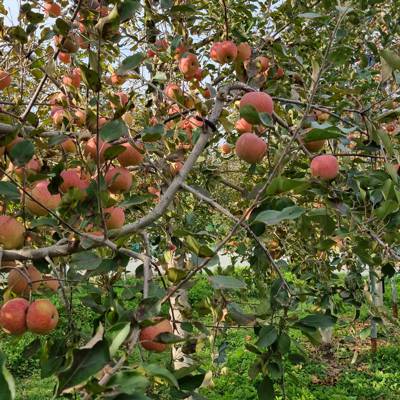 Photo review number 9236 from Jake P