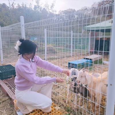 Photo review number 9375 from luha*****@***********