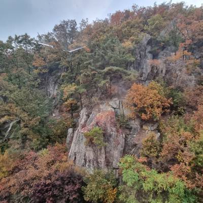 Photo review number 9244 from Jake P