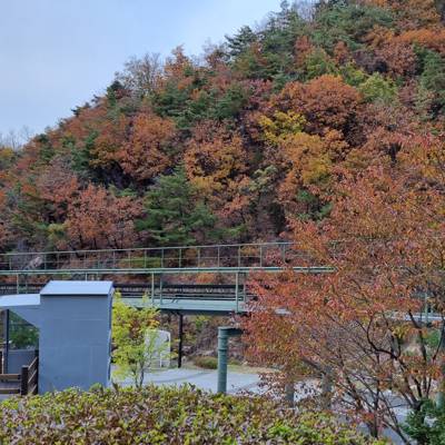 Photo review number 9243 from Jake P