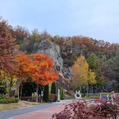 Photo review number 9241 from Jake P