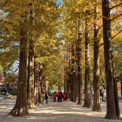 Photo review number 9246 from Jake P