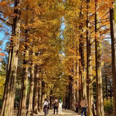 Photo review number 9247 from Jake P