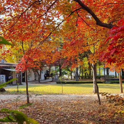 Photo review number 9245 from Jake P