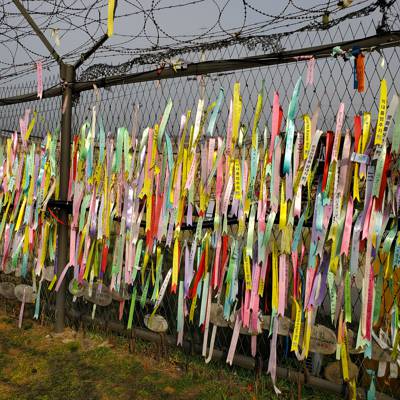 Photo review number 9447 from Kate M