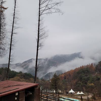 Photo review number 9500 from Monica B