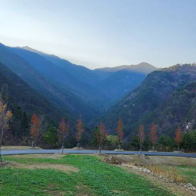 Photo review number 9750 from Priscilla D
