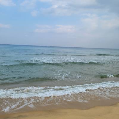 Photo review number 9973 from Tatiana J