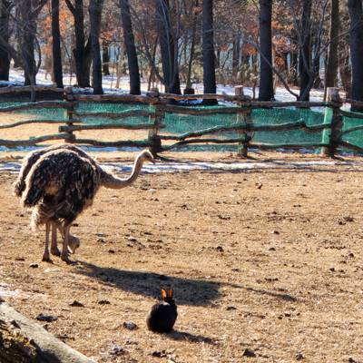 Photo review number 10377 from Ananya S