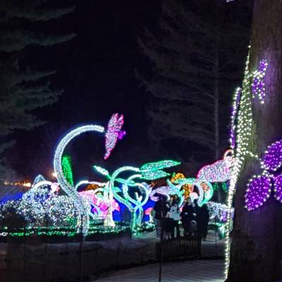 Photo review number 10378 from Ananya S