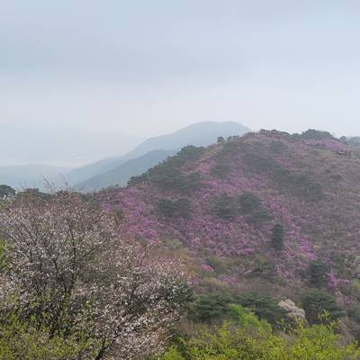 Photo review number 11081 from Dakota T