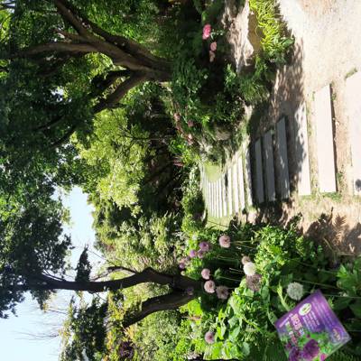 Photo review number 11358 from Laurine J