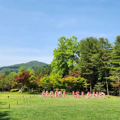 Photo review number 11377 from dipr********@*********