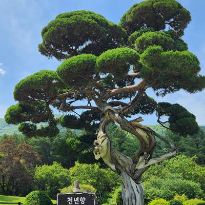 Photo review number 11376 from dipr********@*********