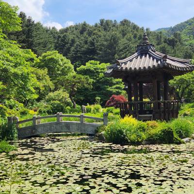 Photo review number 11375 from dipr********@*********