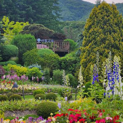 Photo review number 11372 from made********@*********