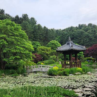 Photo review number 11371 from made********@*********