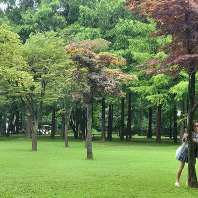 Photo review number 11678 from Hoang Anh N