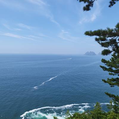Photo review number 11852 from Emma T
