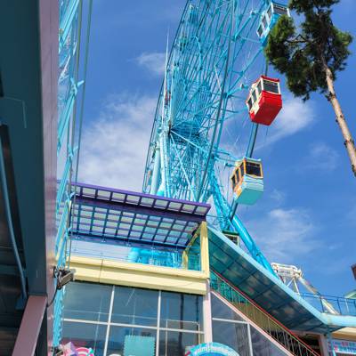 Photo review number 12225 from Lisa Y