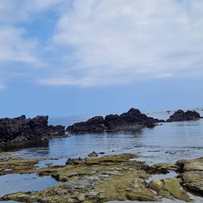 Photo review number 12343 from Idalie L