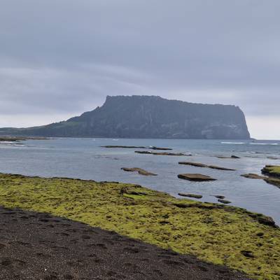 Photo review number 12340 from Idalie L