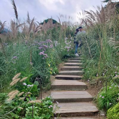 Photo review number 12447 from bao_*******@*********