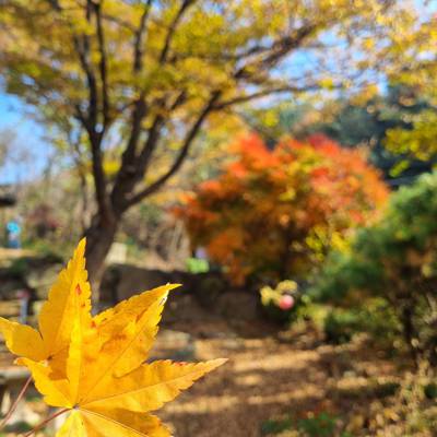 Photo review number 12842 from Stephanie C
