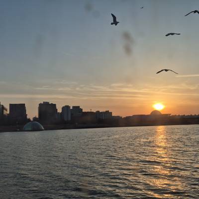 Photo review number 14061 from Pramila P