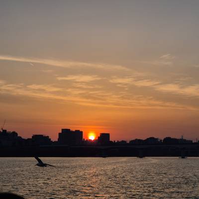 Photo review number 14059 from Pramila P