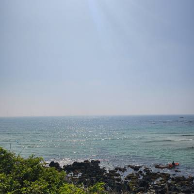 Photo review number 14495 from Claudette G