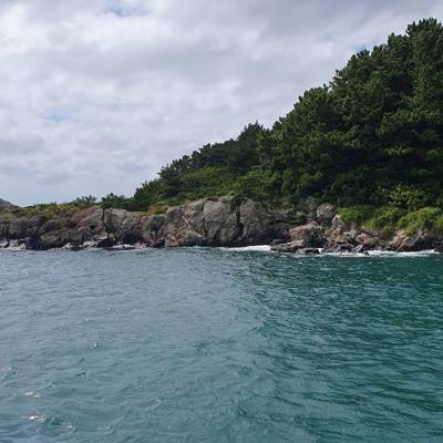 Photo review number 15149 from Lauran A