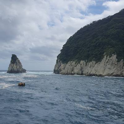 Photo review number 15150 from Lauran A