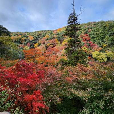 Photo review number 18059 from naww*******@*********