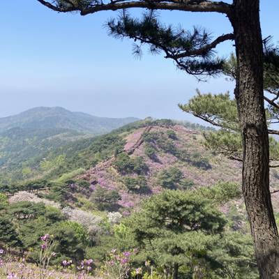 Photo review number 11150 from A A