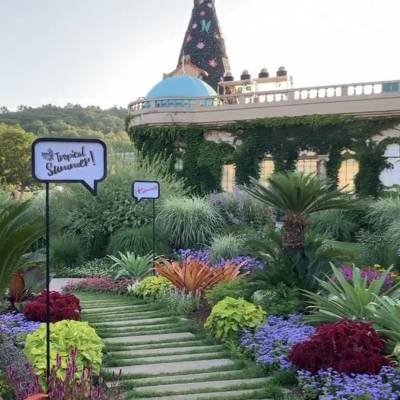 Photo review number 2560 from Ronia  A