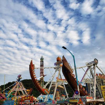 Photo review number 6081 from Cynthia P