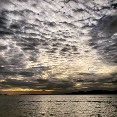 Photo review number 6080 from Cynthia P