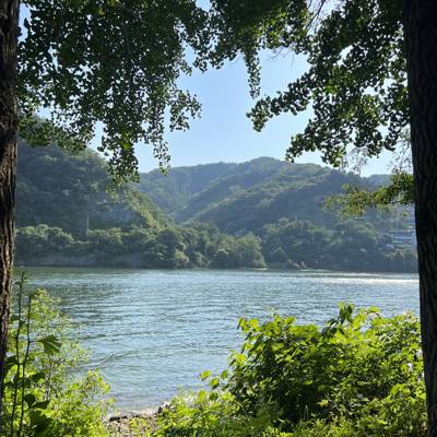 Photo review number 11555 from Elizabeth C