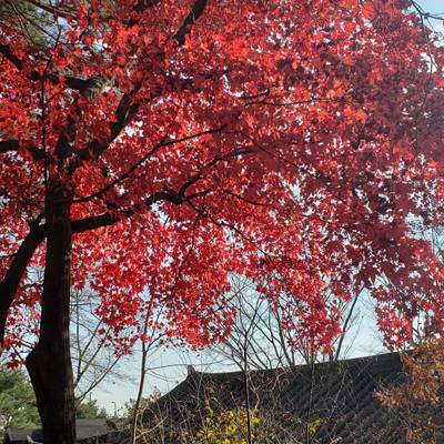 Photo review number 7015 from Kevin T