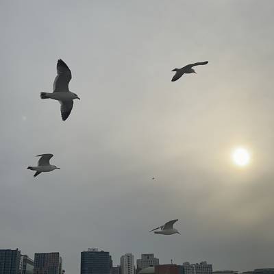Photo review number 10847 from HANORSALIZA K
