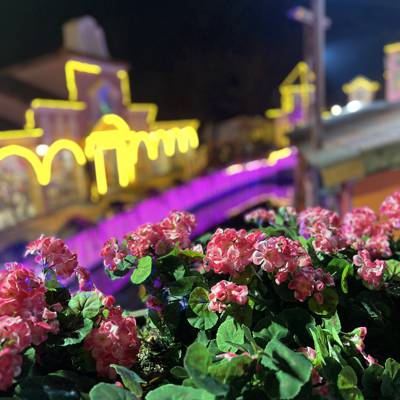 Photo review number 9511 from Andy H