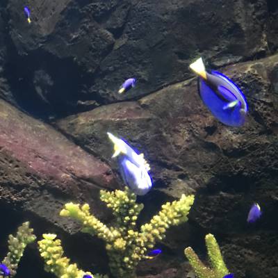 Photo review number 5321 from Miki M