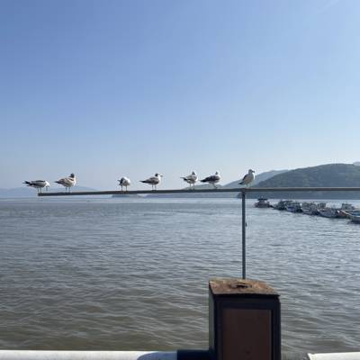 Photo review number 11149 from A A