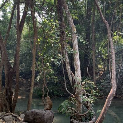 Photo review number 1753 from Pngo********@*********